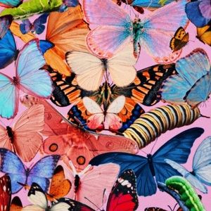 Meet your Posher, Madelyn